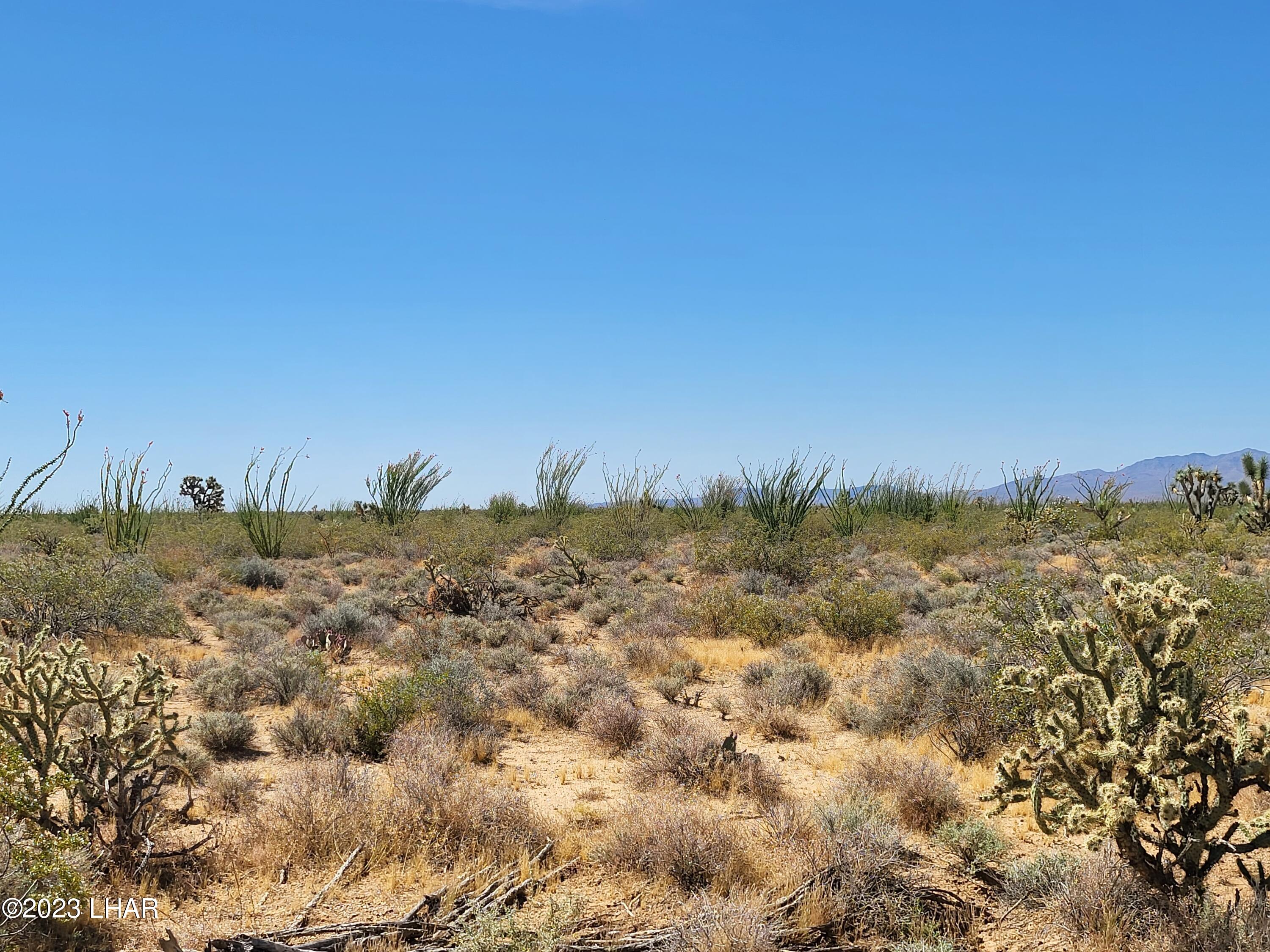 3538 East Cielo Road Yucca, AZ 86438 - Photo 1 of 6 20230525_100744