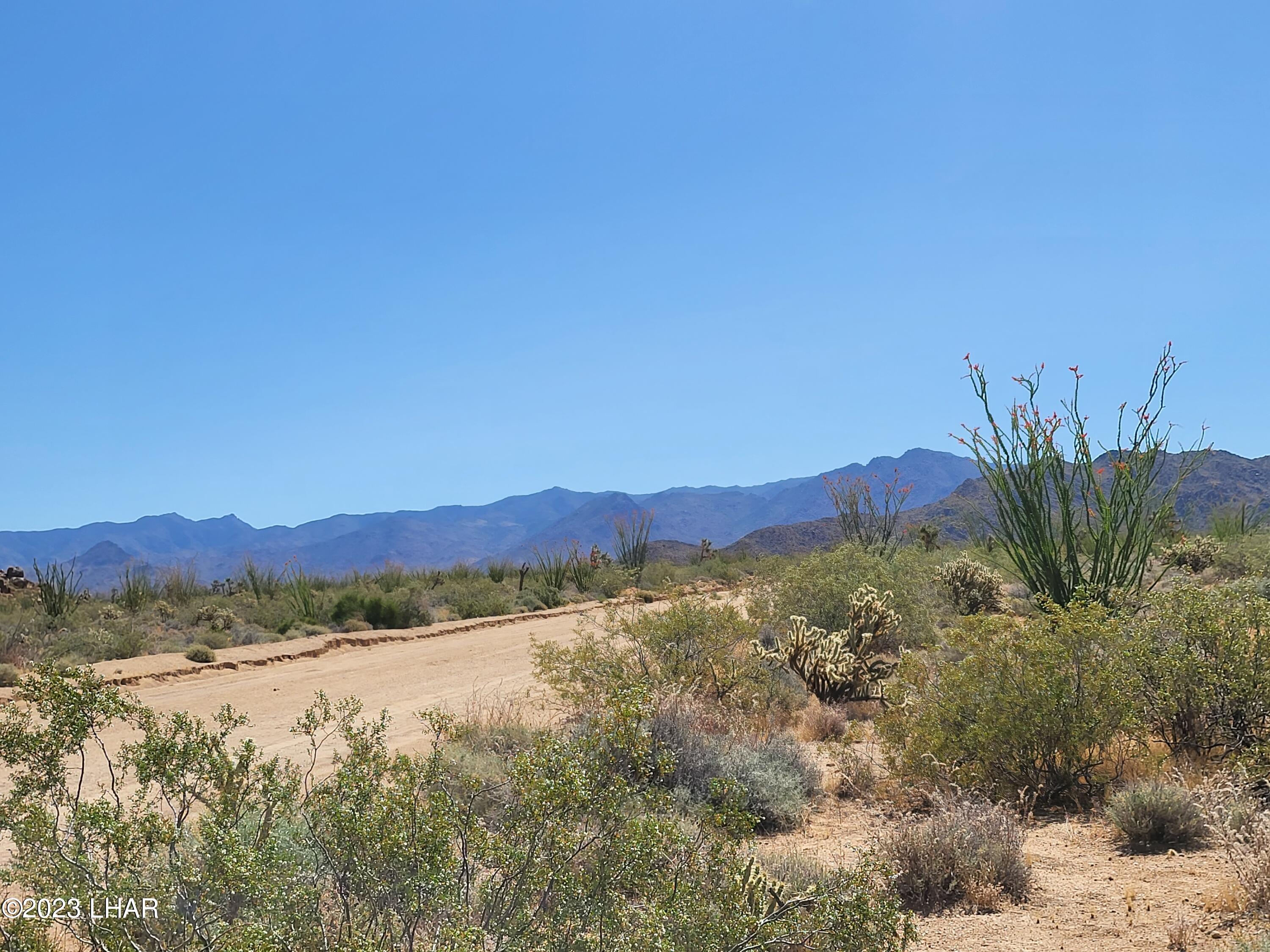 3538 East Cielo Road Yucca, AZ 86438 - Photo 3 of 6 20230525_100730