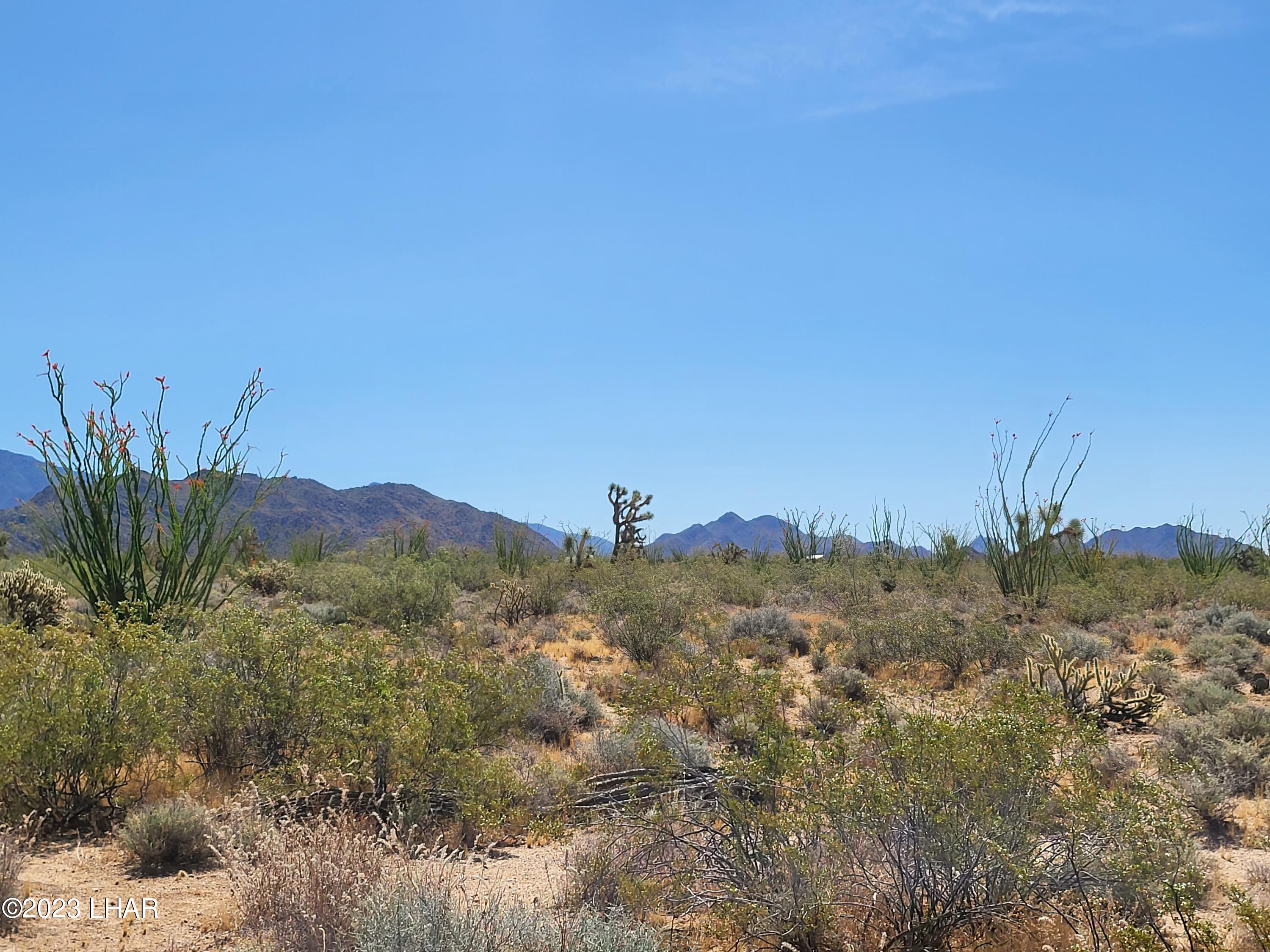 3538 East Cielo Road Yucca, AZ 86438 - Photo 4 of 6 20230525_100732