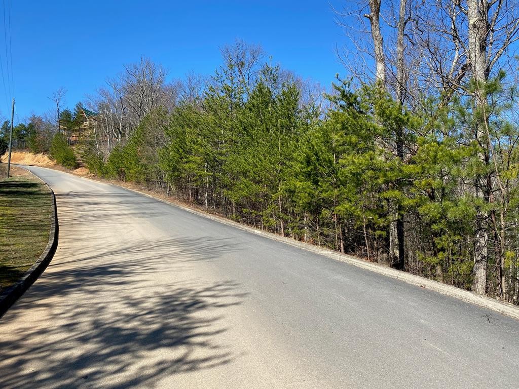 1706 Pinestand Rdg Way Sevierville, TN 37862 - Photo 1 of 8
