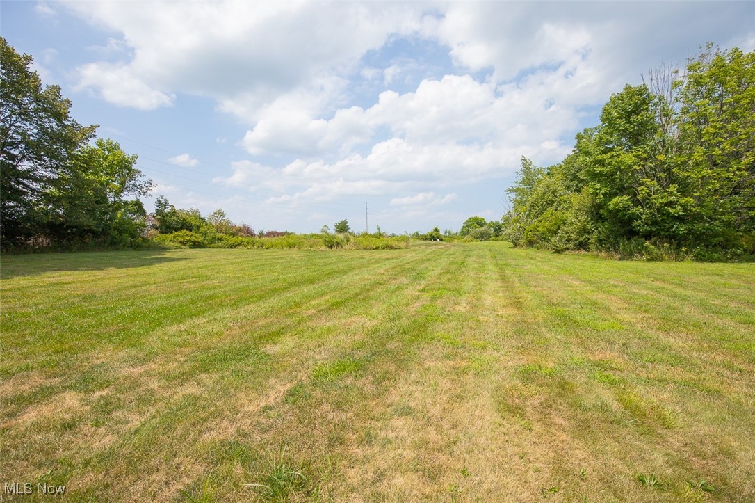 9155 Shank Road Litchfield, OH 44253 - Photo 43 of 47 View of green lawn with a view of rural / pastoral area