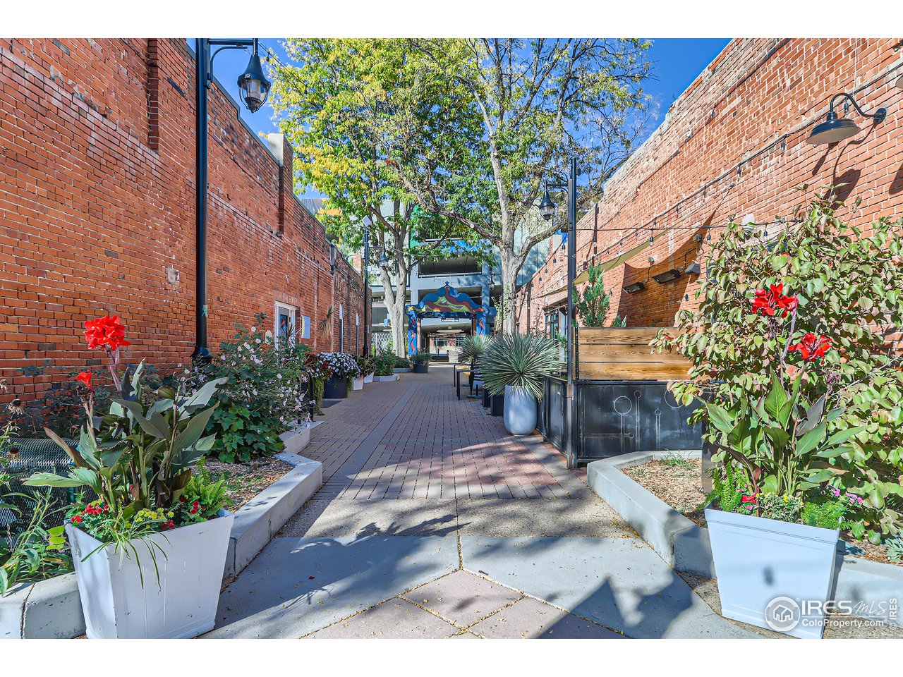 25 Reed Place Longmont, CO 80504 - Photo 30 of 30 a view of a backyard with flowers