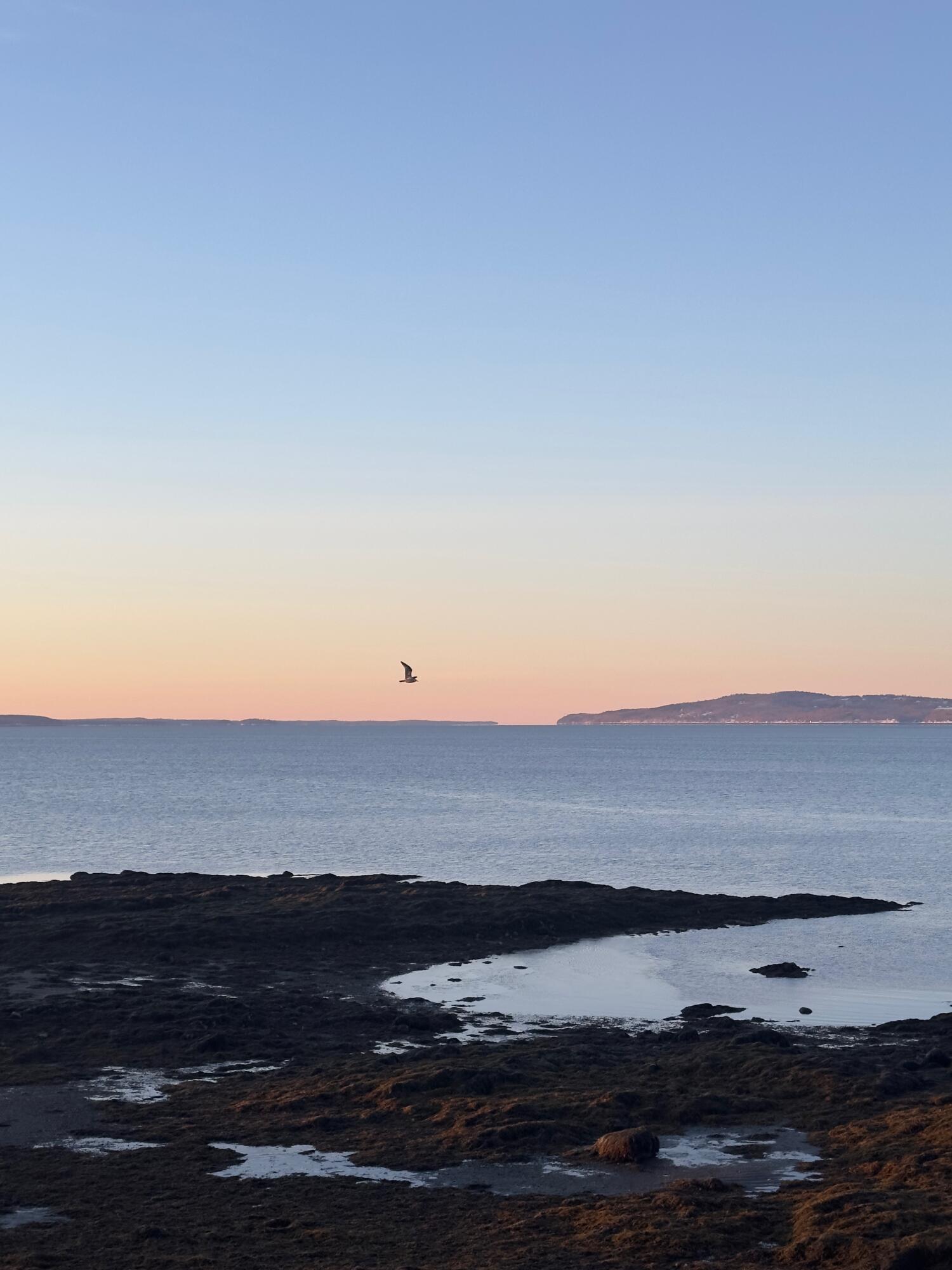 8 Summer Street Searsport, ME 04974 - Photo 58 of 61 IMG_8820