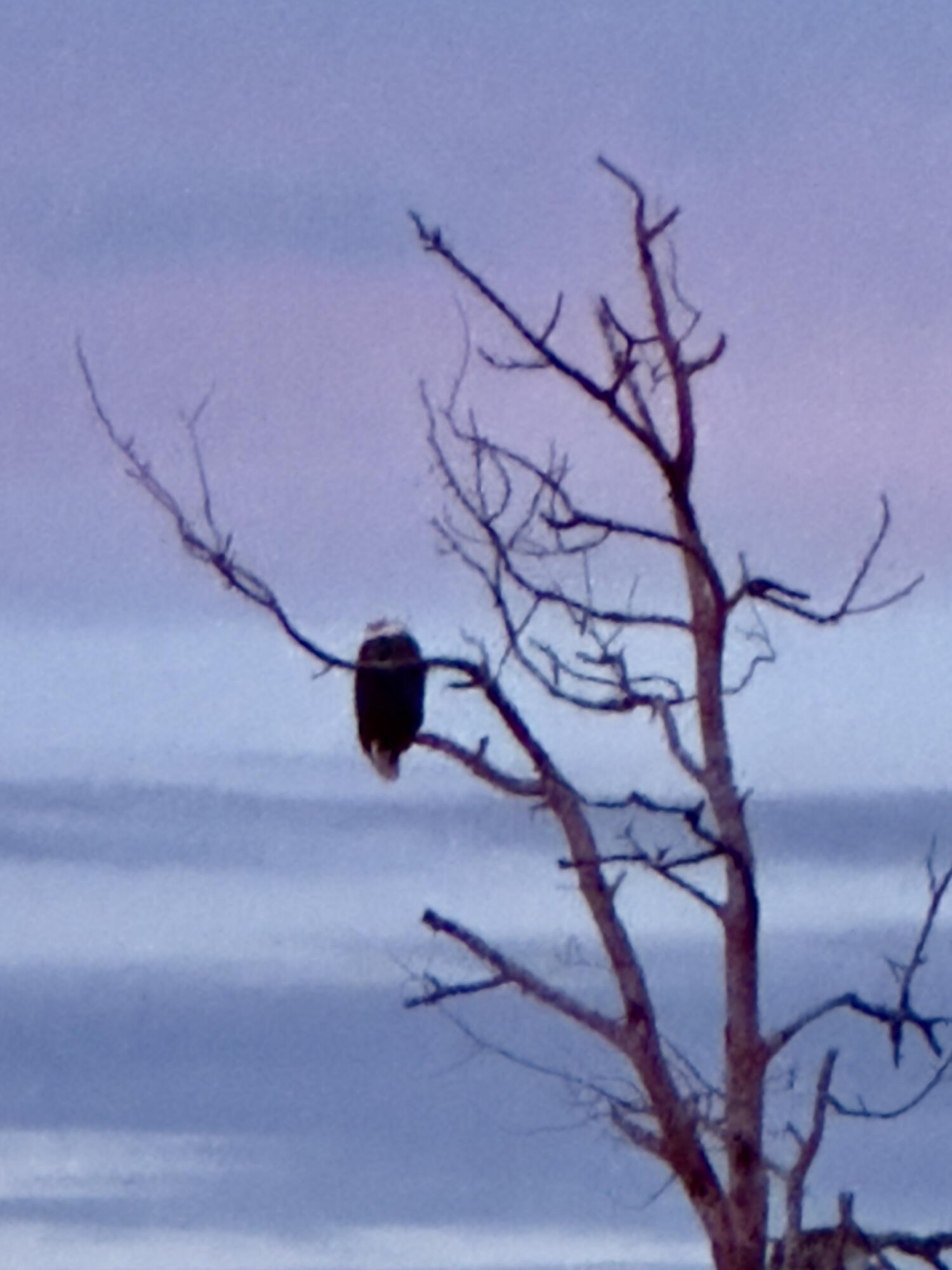 8 Summer Street Searsport, ME 04974 - Photo 61 of 61 IMG_7164