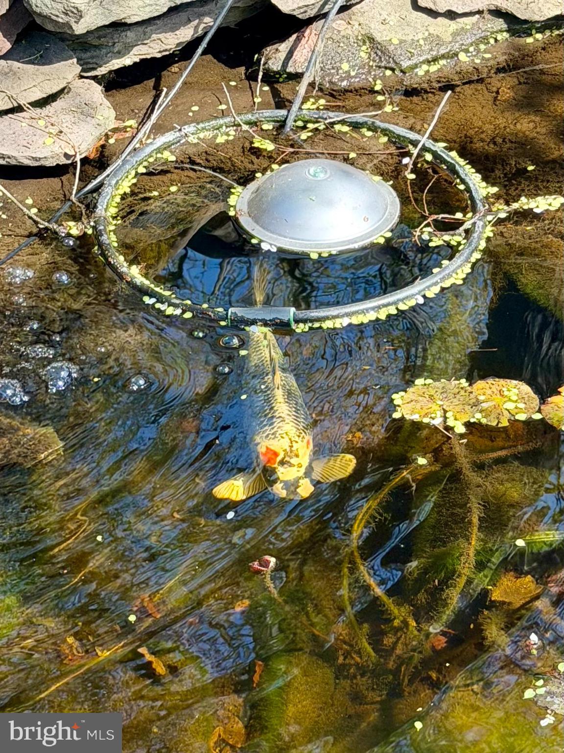 1921 Ware Road Falls Church, VA 22043 - Photo 11 of 23