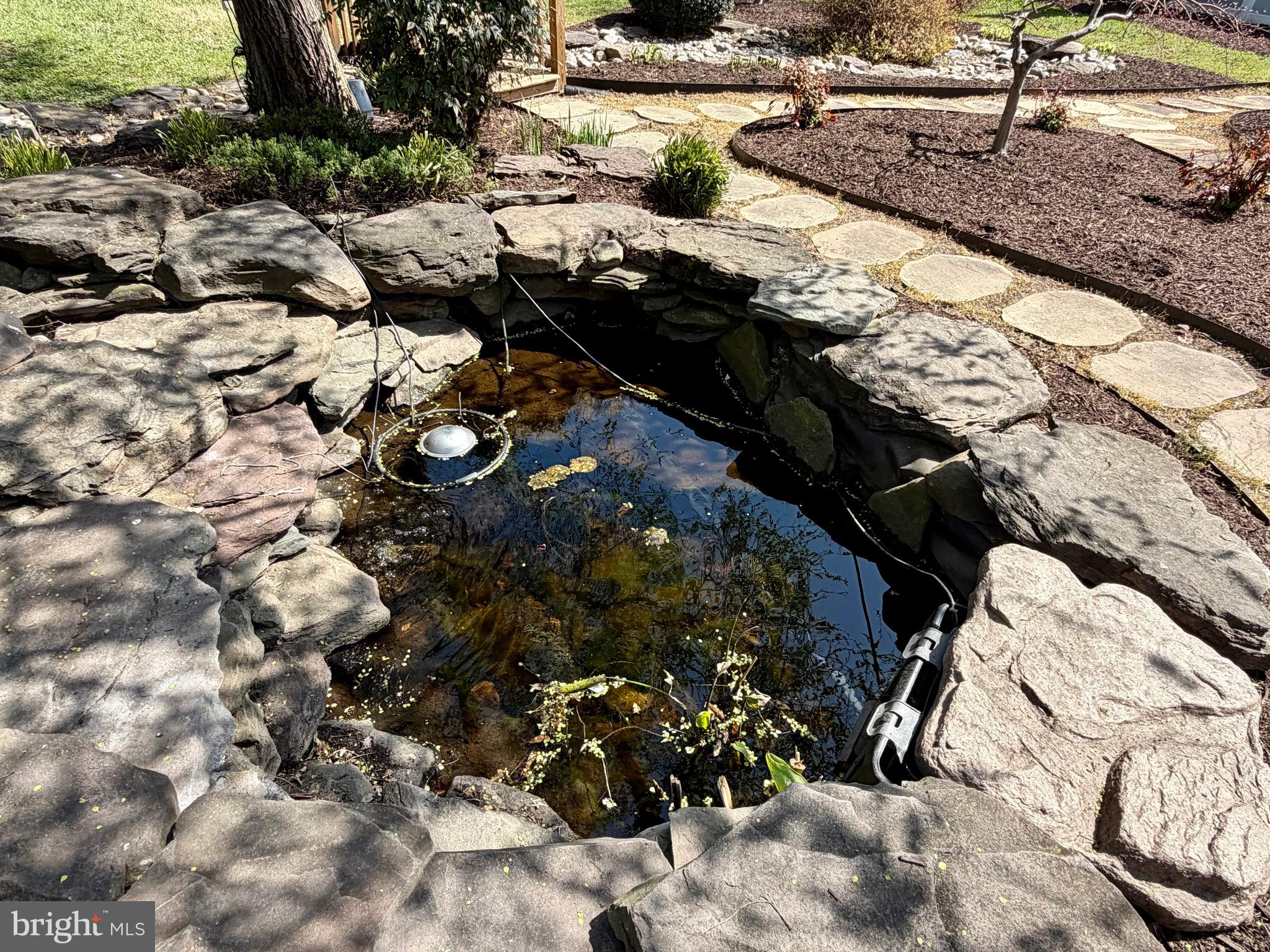 1921 Ware Road Falls Church, VA 22043 - Photo 10 of 23 Koi Pond