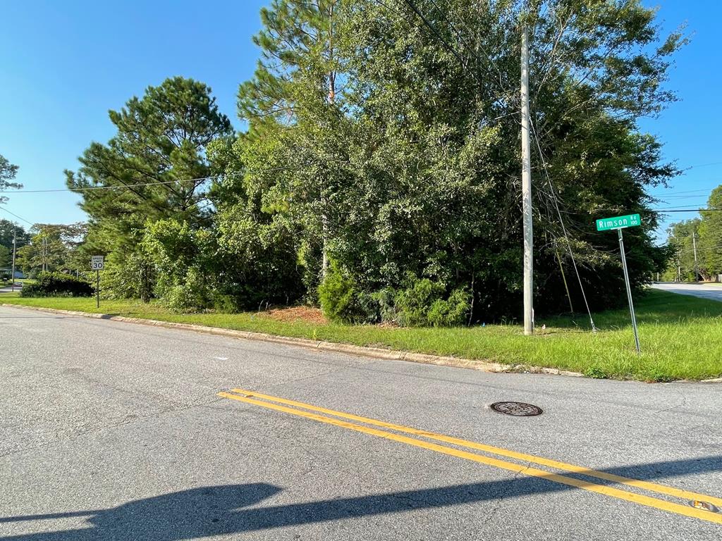 96 Rimson Road Dothan, AL 36301 - Photo 1 of 4