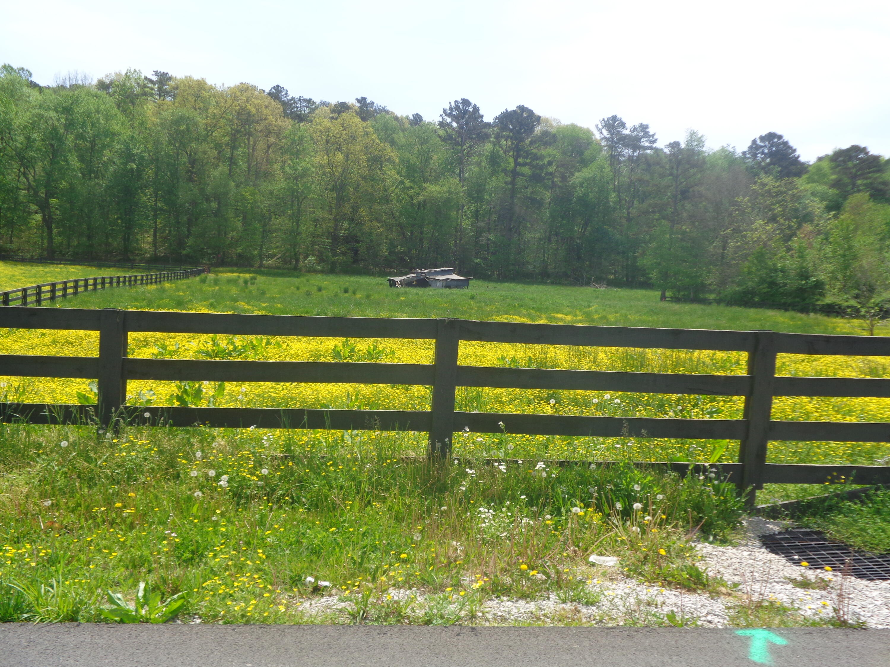 5401 Slate Lick Road London, KY 40741 - Photo 11 of 11 DSC08476