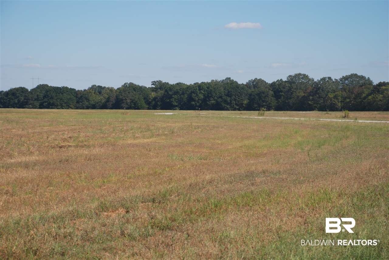 21 Jimmie Phillips Road Sawyerville, AL 36776 - Photo 40 of 41