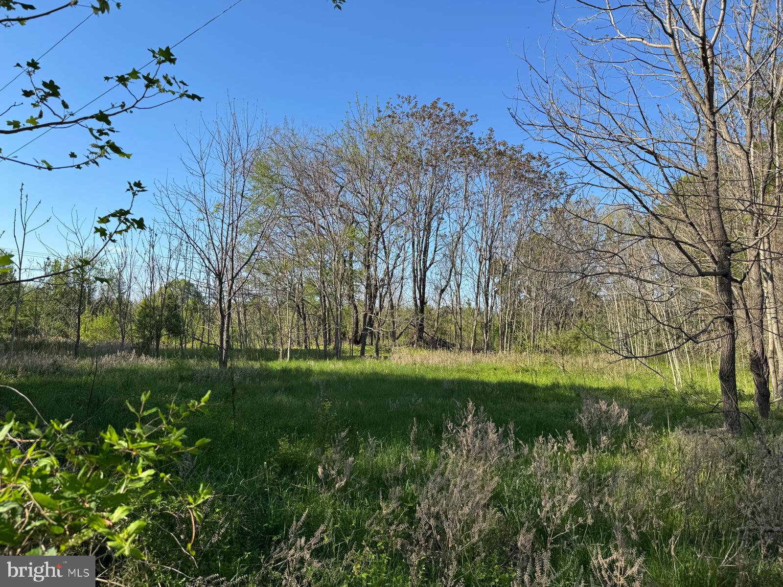 9790 Ironsides Road Nanjemoy, MD 20662 - Photo 9 of 12