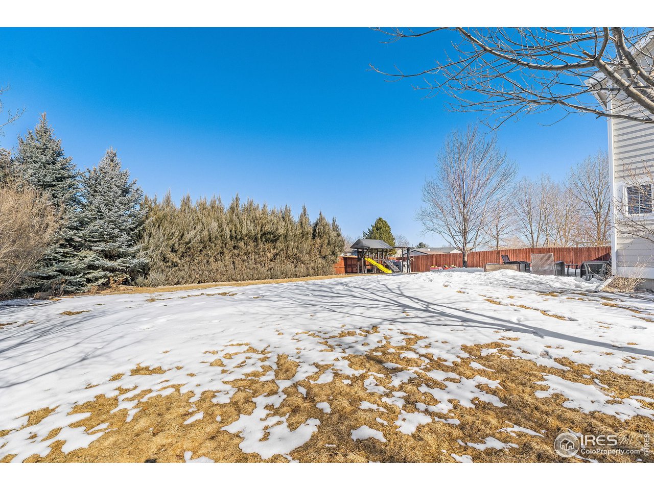 300 Amber Drive Windsor, CO 80550 - Photo 34 of 40