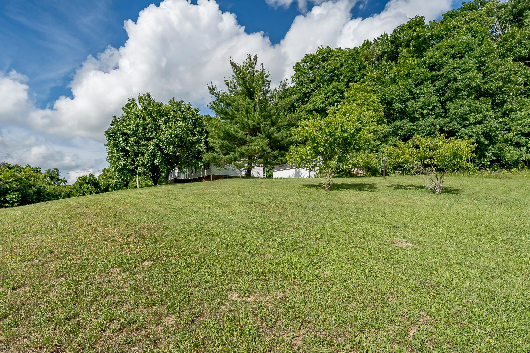 1950 Rheatown Road Chuckey, TN 37641 - Photo 12 of 52 1950 Rheatown Rd (12 of 53)