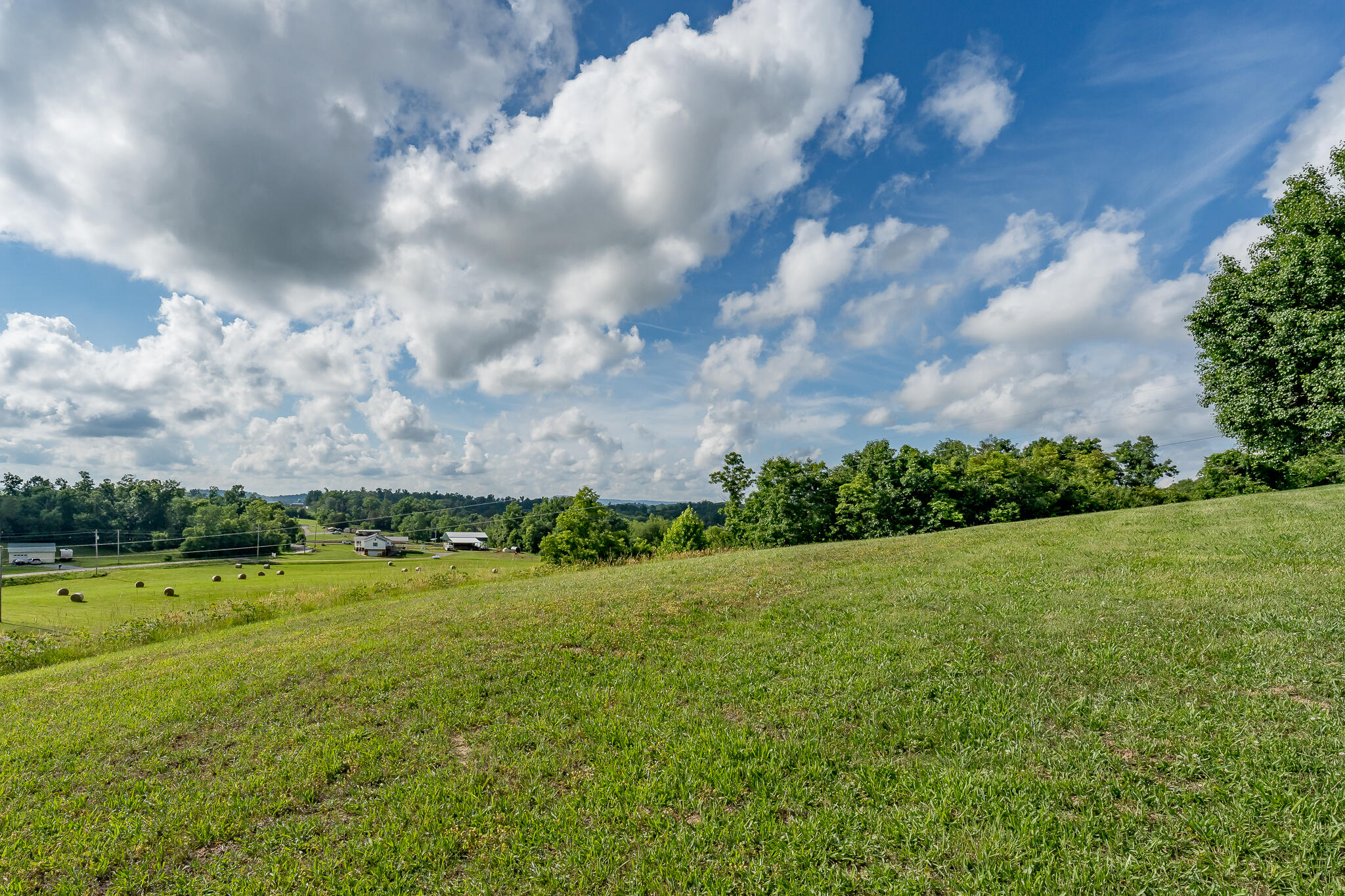 1950 Rheatown Road Chuckey, TN 37641 - Photo 13 of 52 1950 Rheatown Rd (13 of 53)