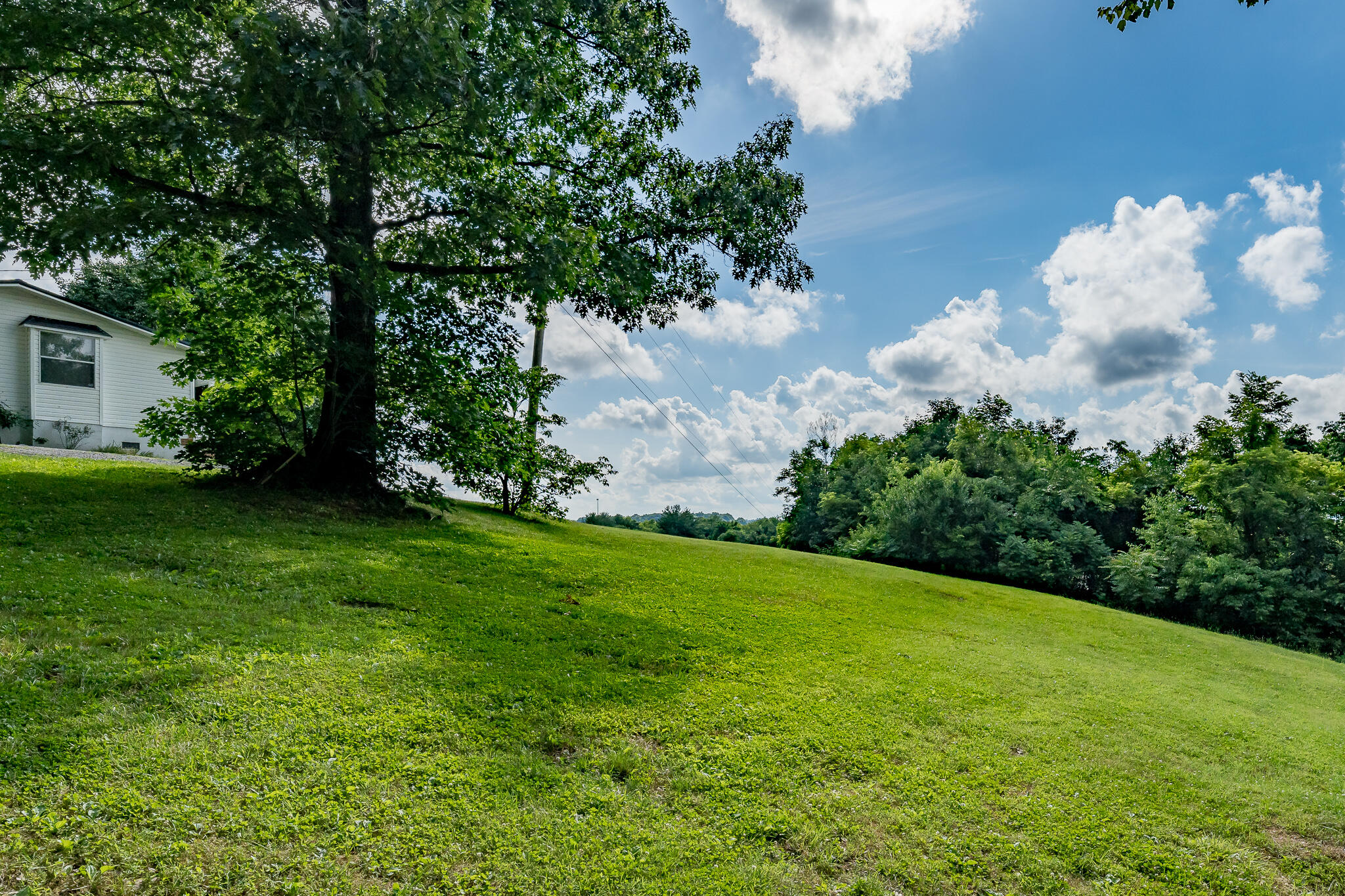 1950 Rheatown Road Chuckey, TN 37641 - Photo 17 of 52 1950 Rheatown Rd (17 of 53)