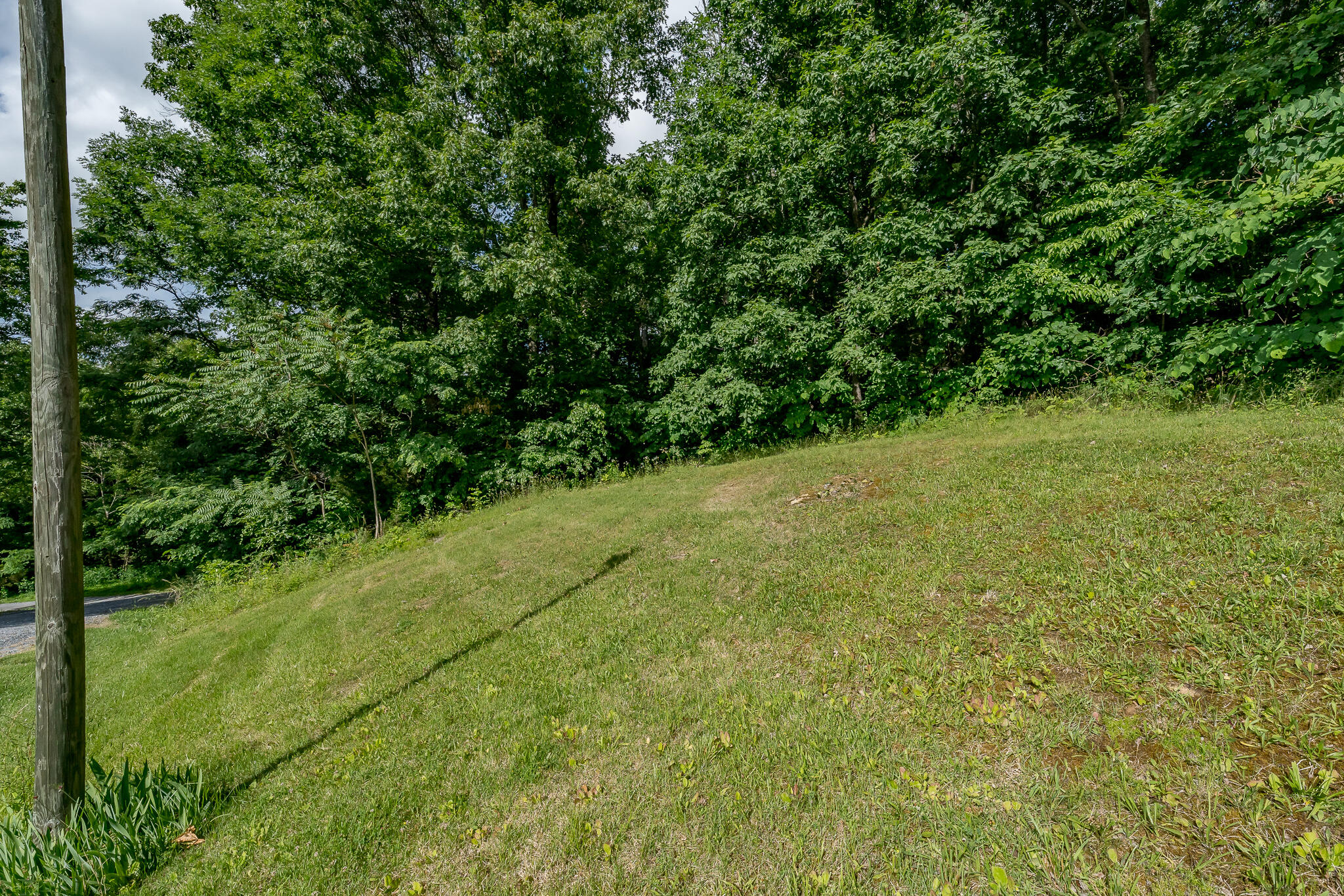 1950 Rheatown Road Chuckey, TN 37641 - Photo 26 of 52 1950 Rheatown Rd (26 of 53)