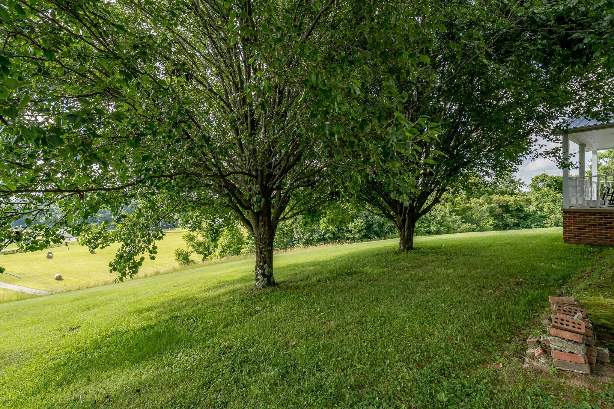 1950 Rheatown Road Chuckey, TN 37641 - Photo 9 of 52 1950 Rheatown Rd (9 of 53)
