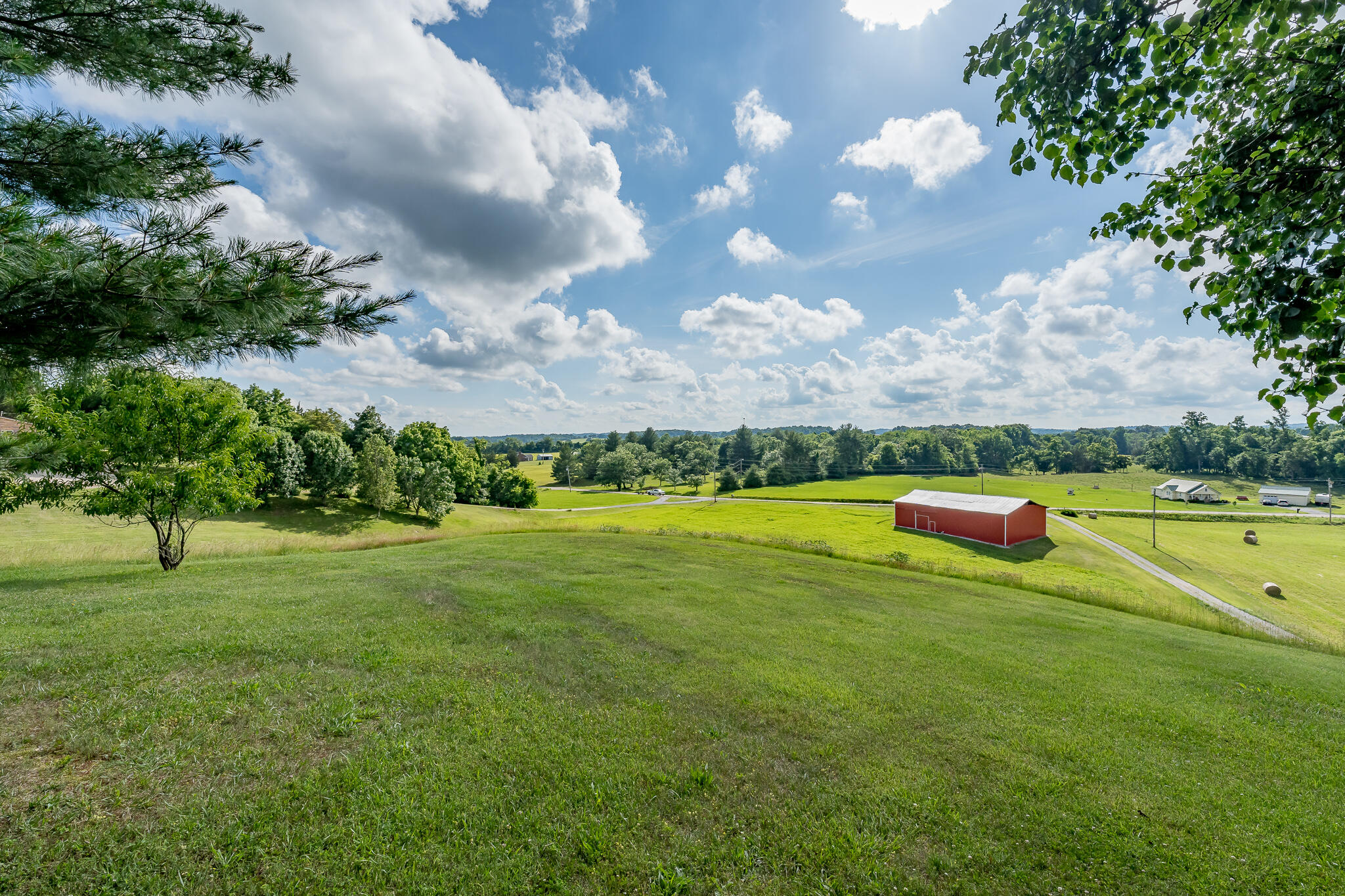 1950 Rheatown Road Chuckey, TN 37641 - Photo 10 of 52 1950 Rheatown Rd (10 of 53)