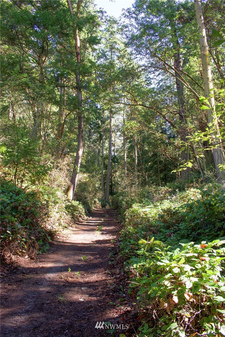 9999 East Sequim Bay Road Sequim, WA 98382 - Photo 15 of 30 Gallery Image 15