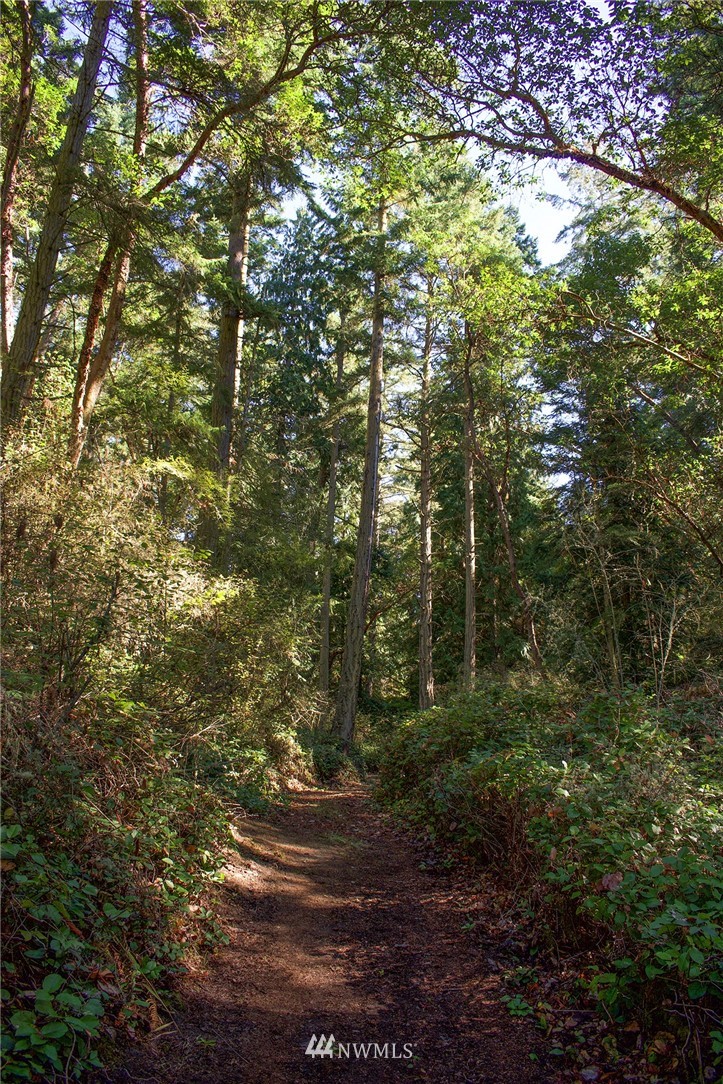 9999 East Sequim Bay Road Sequim, WA 98382 - Photo 10 of 30 Gallery Image 10