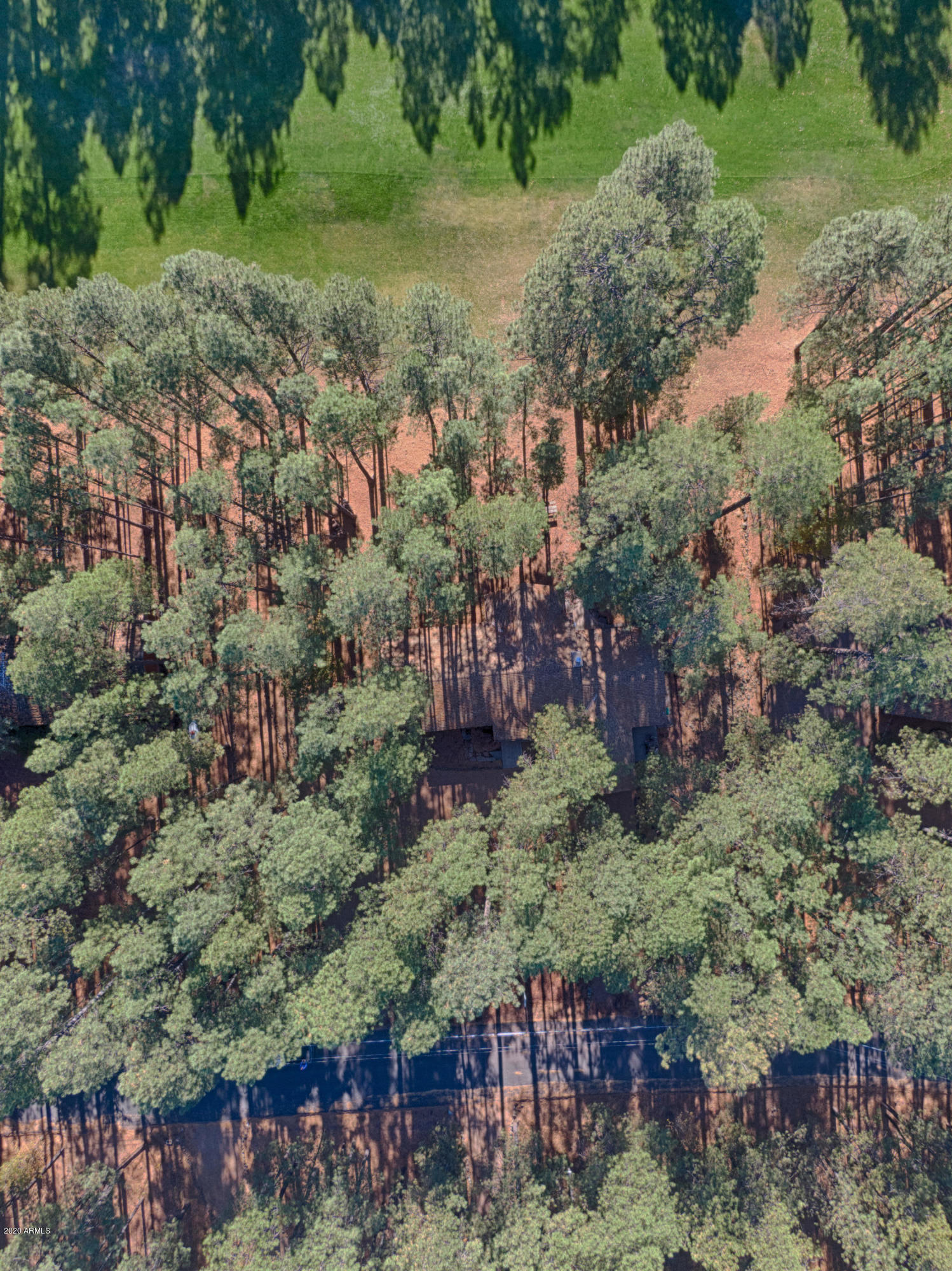 7351 Geronimo Road Pinetop, AZ 85935 - Photo 2 of 27 DJI_0011_HDR