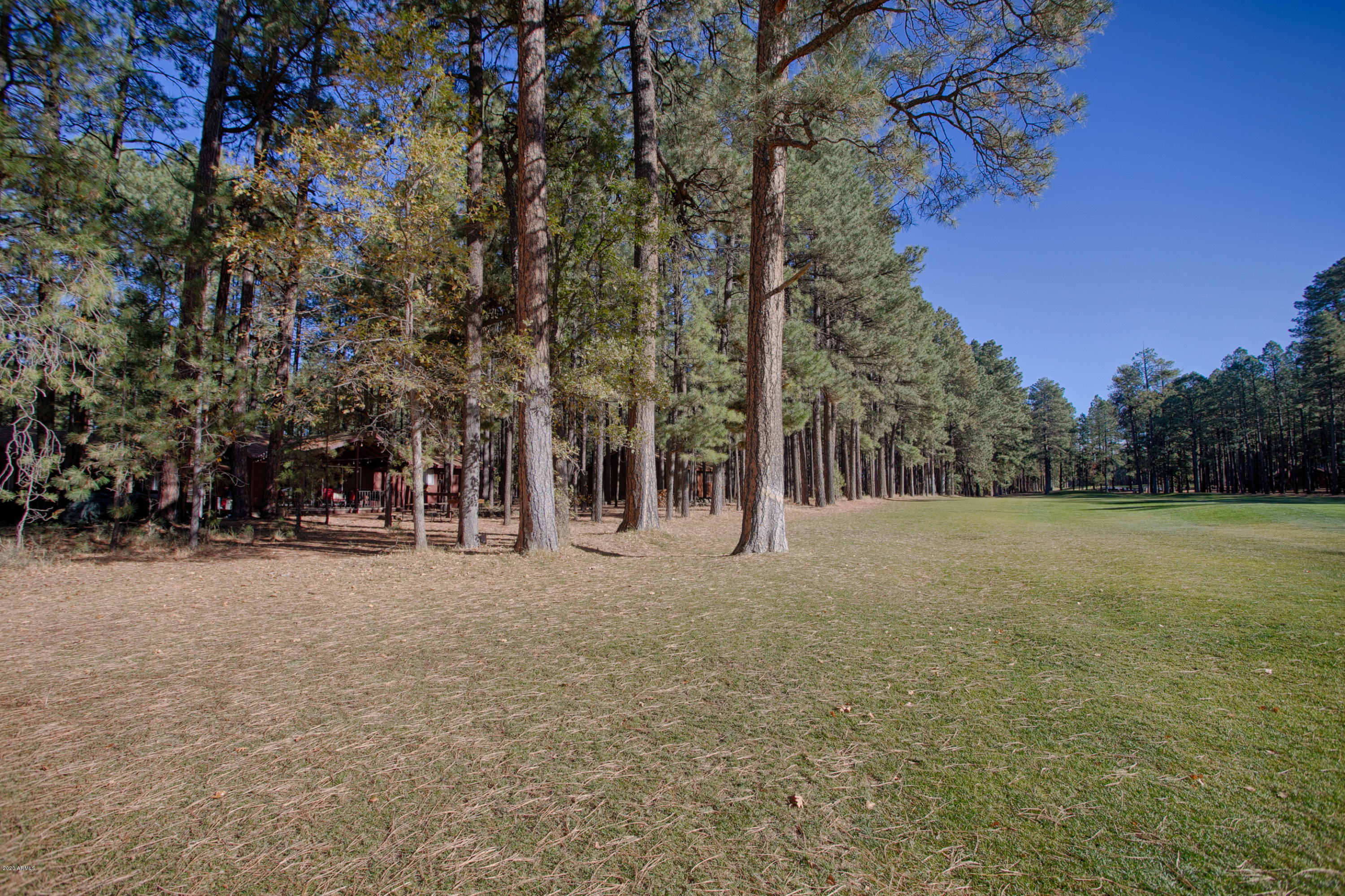 7351 Geronimo Road Pinetop, AZ 85935 - Photo 24 of 27 IMG_3205_HDR