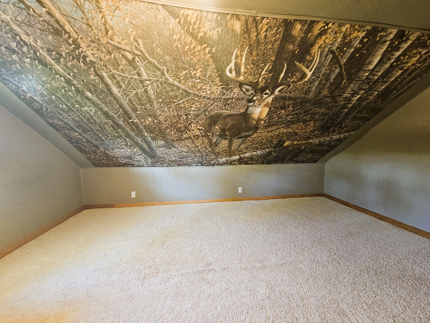 878 County Road 600N Sims, IL 62886 - Photo 33 of 39 a view of an empty room