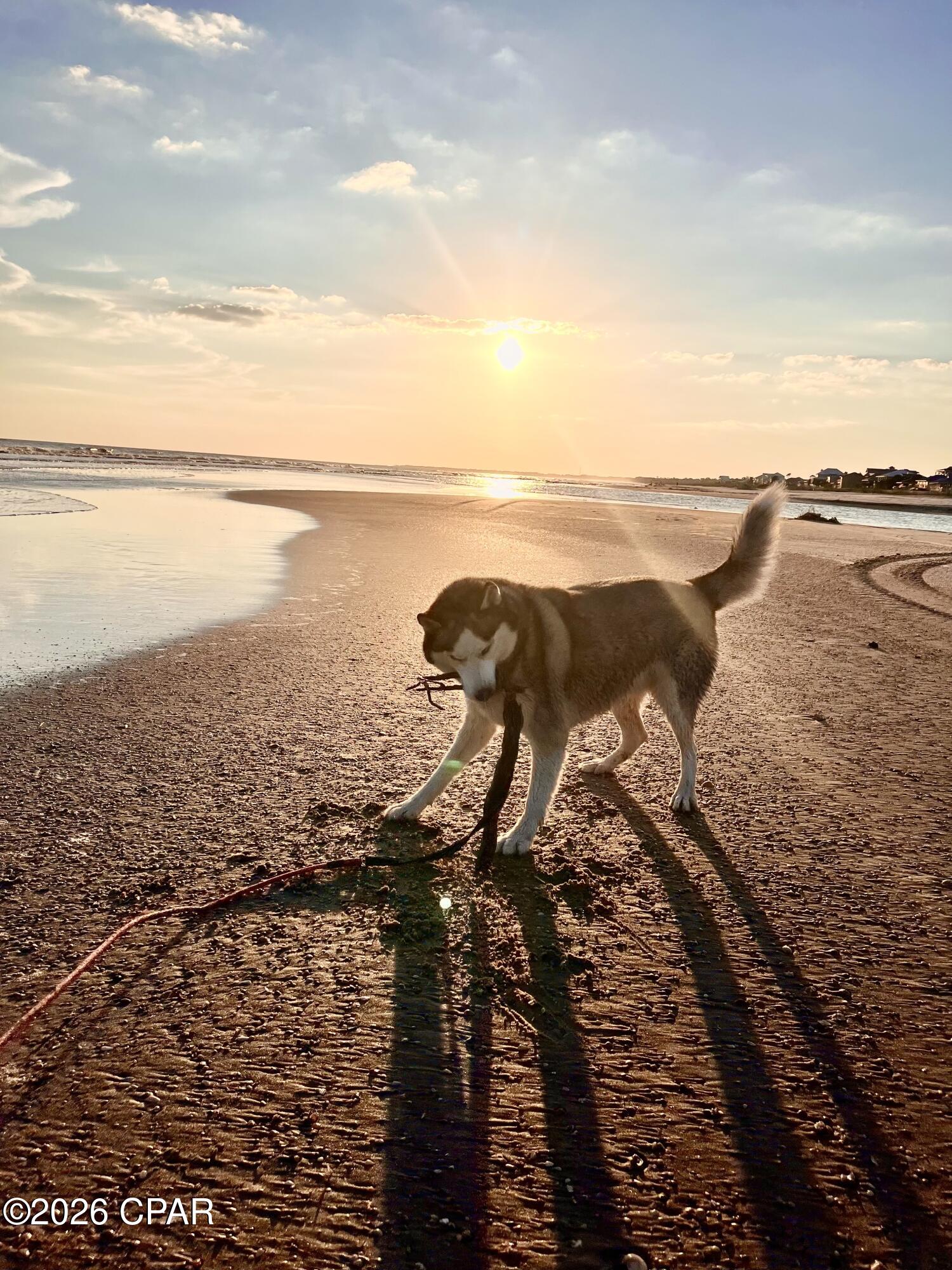 152 McCosh Mill Road Port St. Joe, FL 32456 - Photo 94 of 98