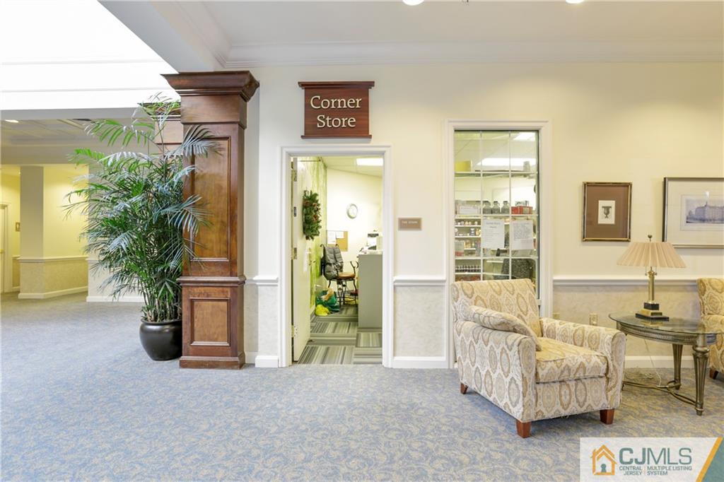 2126 Windrow Drive Plainsboro, NJ 08540 - Photo 22 of 32 a living room with furniture and a potted plant