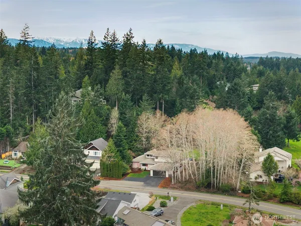a view of a city with lush green forest