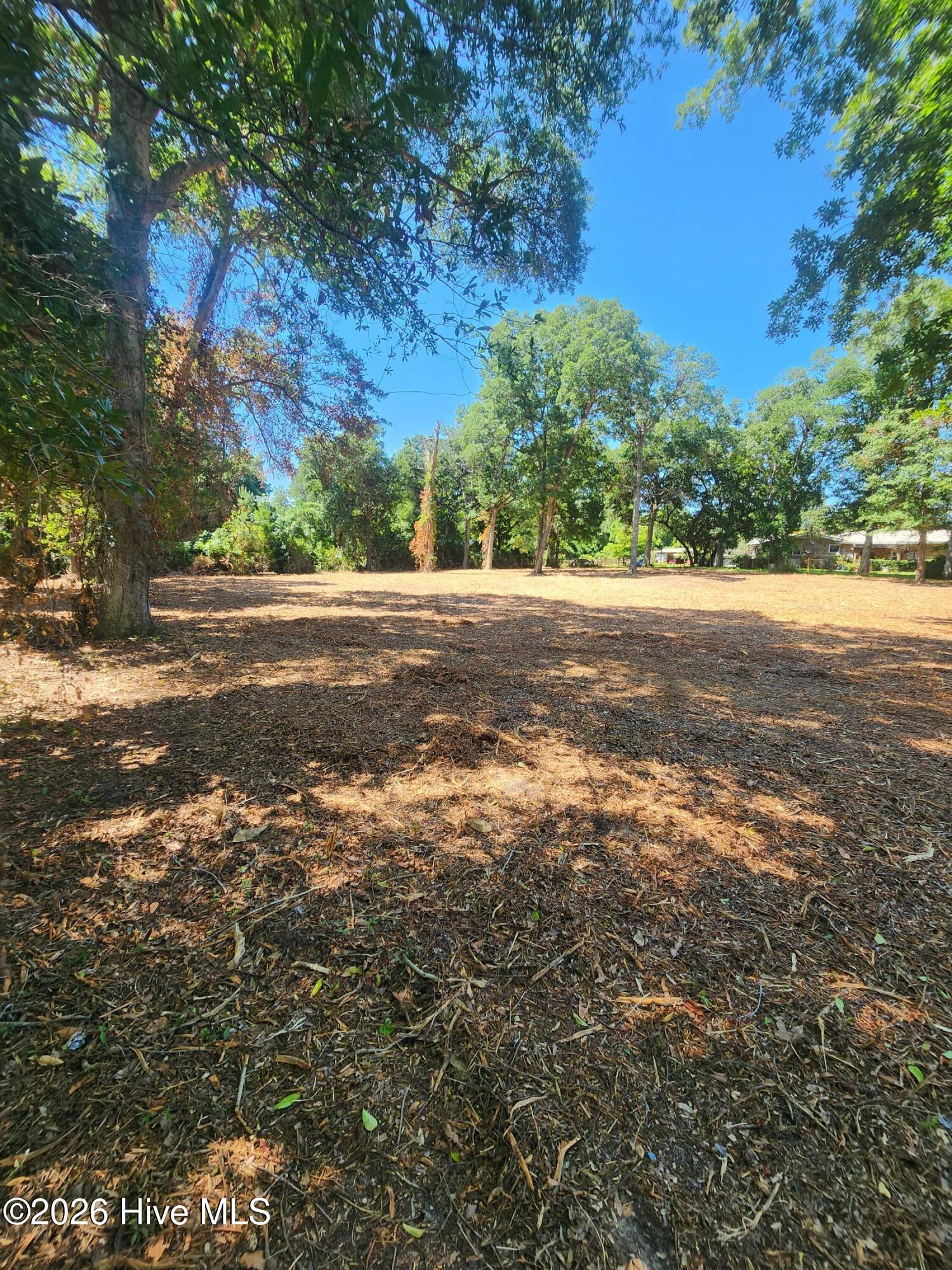 102 Deer Run Hubert, NC 28539 - Photo 8 of 12