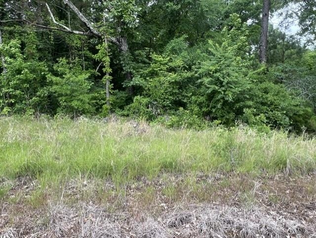 Burnett Mills Road Bolivar, TN 38008 - Photo 4 of 6
