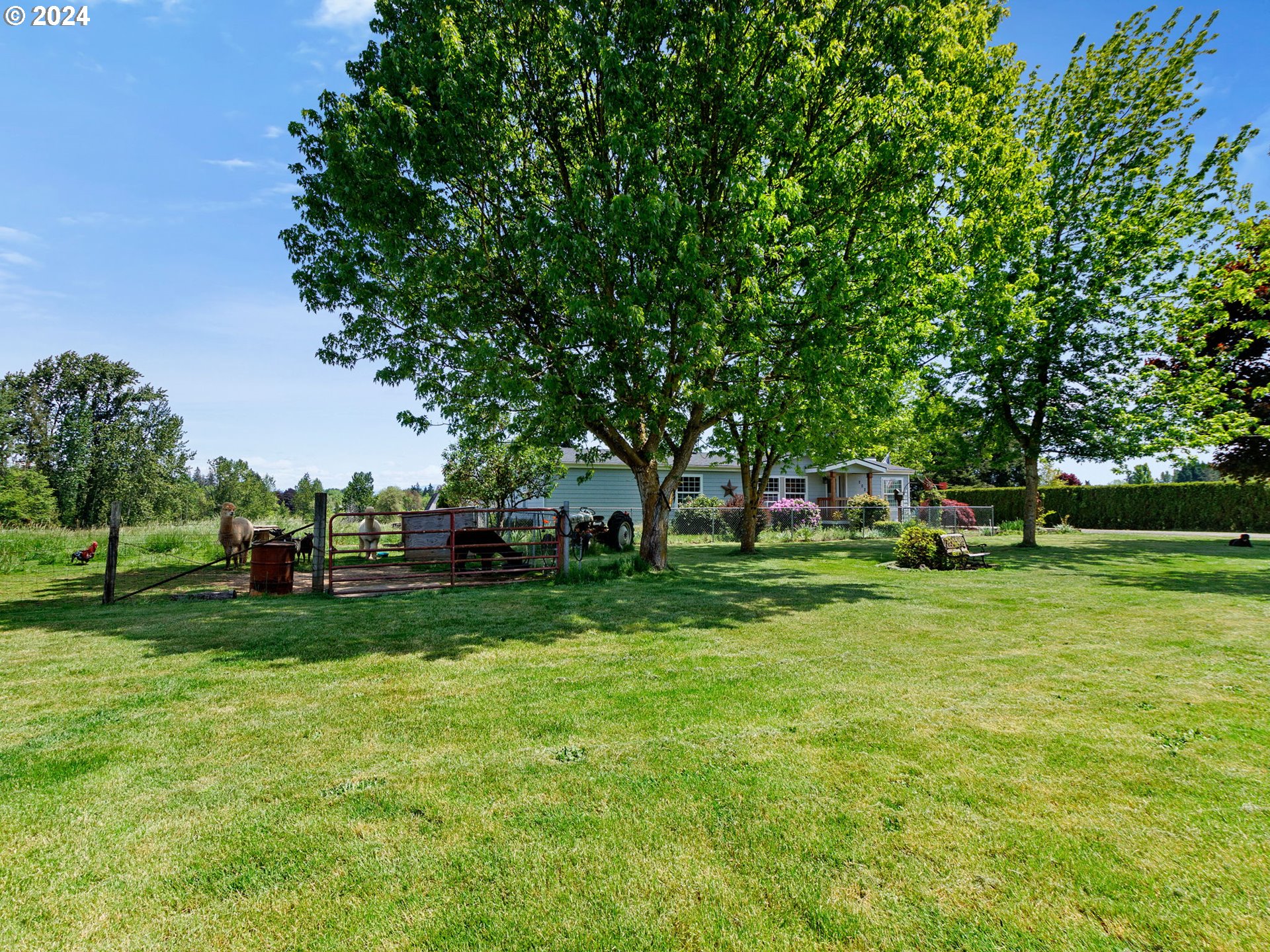 20221 Northeast 22nd Avenue Ridgefield, WA 98642 - Photo 16 of 39 a view of a trees in front of a house