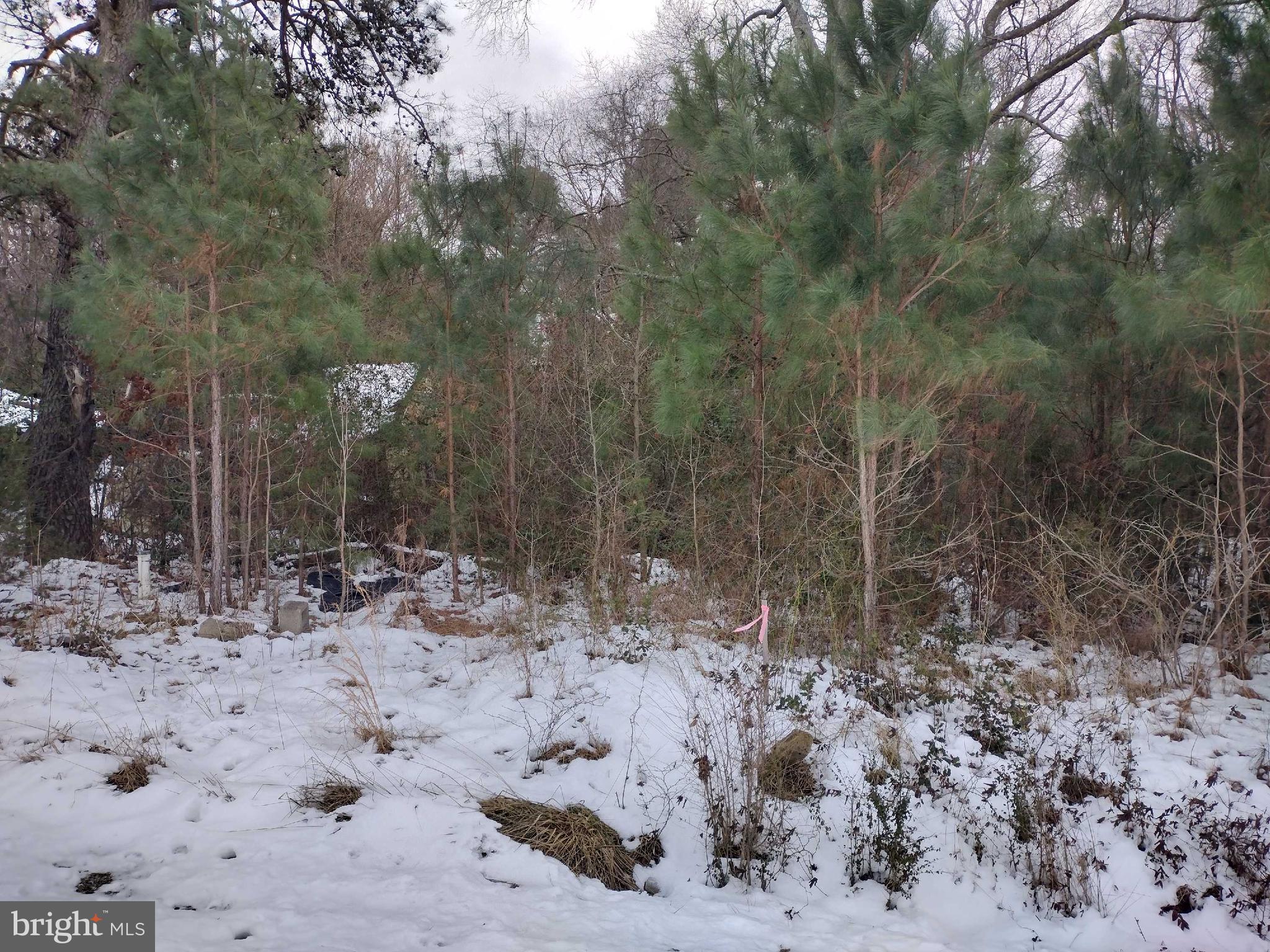 4865 Ennels Road Hurlock, MD 21643 - Photo 2 of 5 Gallery Image 2
