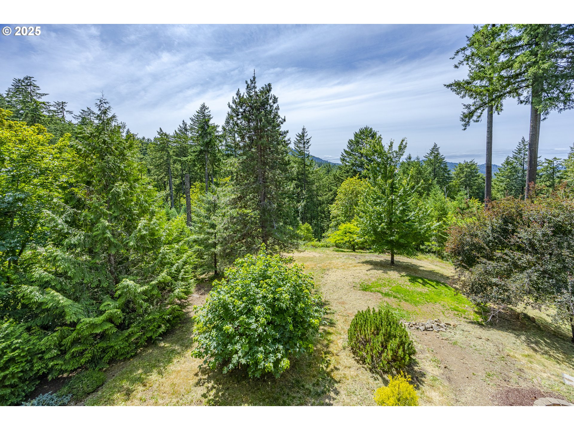 32518 Dillard Road Eugene, OR 97405 - Photo 25 of 45 a view of a yard