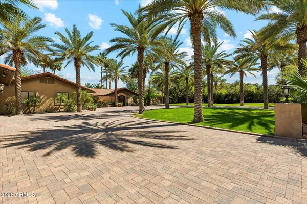 a view of a palm trees