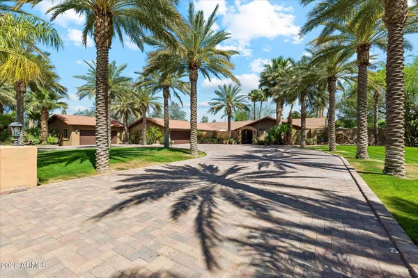 a view of a backyard with palm trees