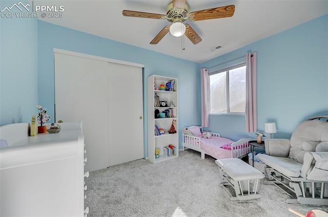 6023 Rifle Gap Way Colorado Springs, CO 80923 - Photo 18 of 33 Bedroom #2