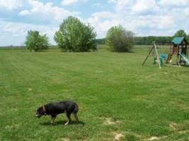 1744 Jacobs Pillar Road Smithville, TN 37166 - Photo 13 of 14 Gallery Image 13