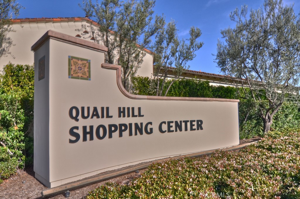 88 Borghese Irvine, CA 92618 - Photo 46 of 61