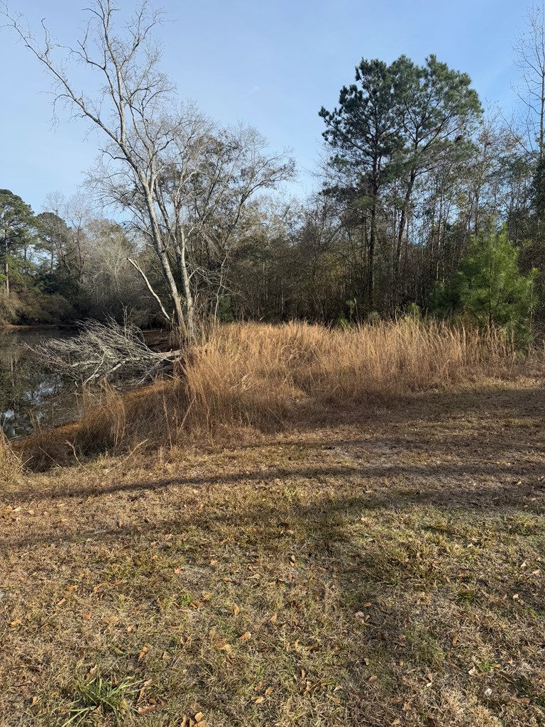 209 Pond View Lane Opp, AL 36467 - Photo 16 of 28