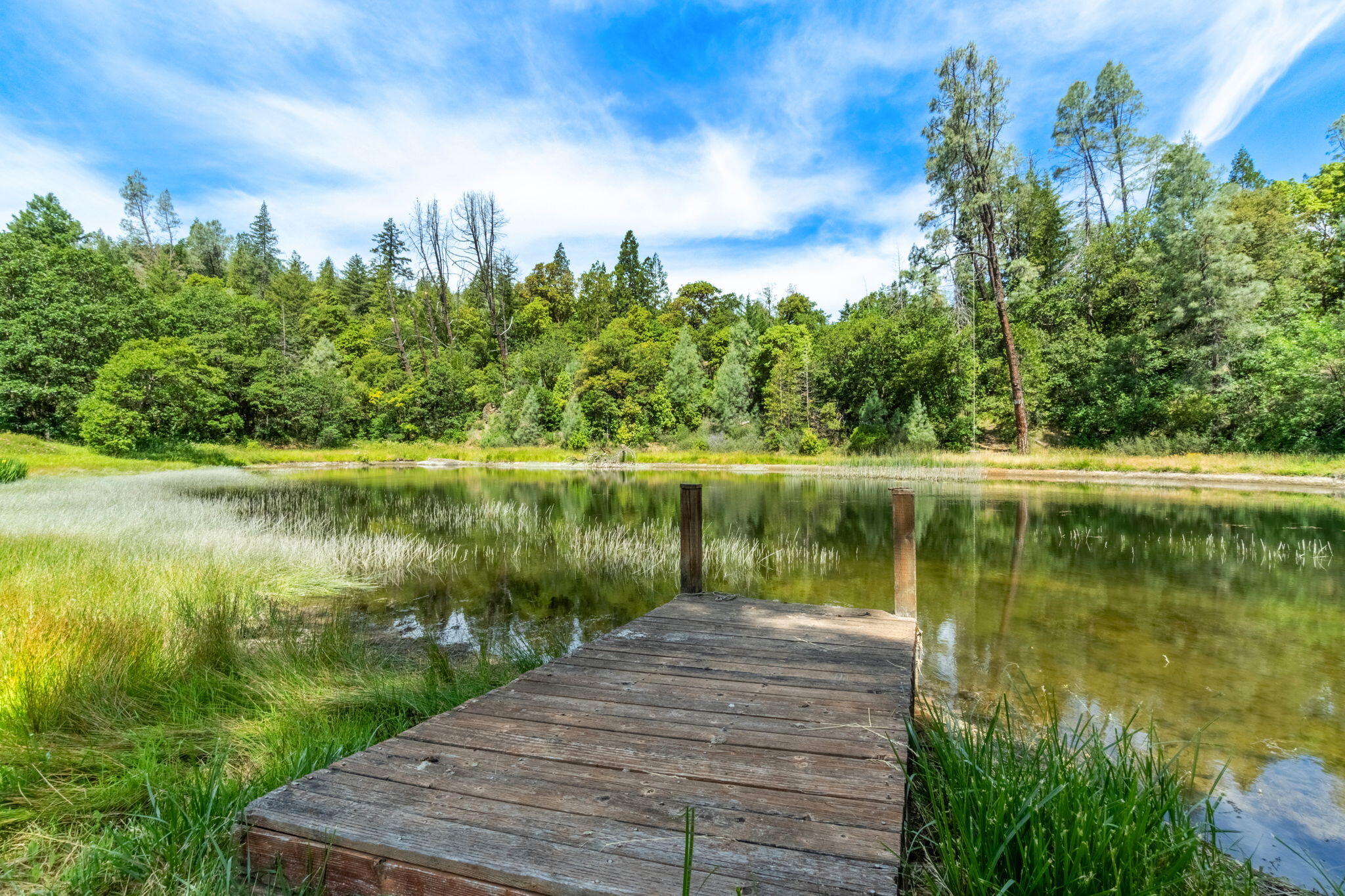 10331 Highway 299, Unit 299 Burnt Ranch, CA 95527 - Photo 57 of 70