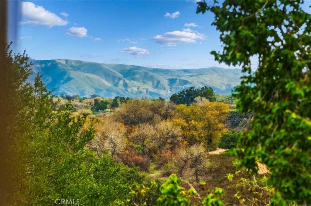 33656 Winston Way, Unit A Temecula, CA 92592 - Photo 36 of 46 a view of a yard