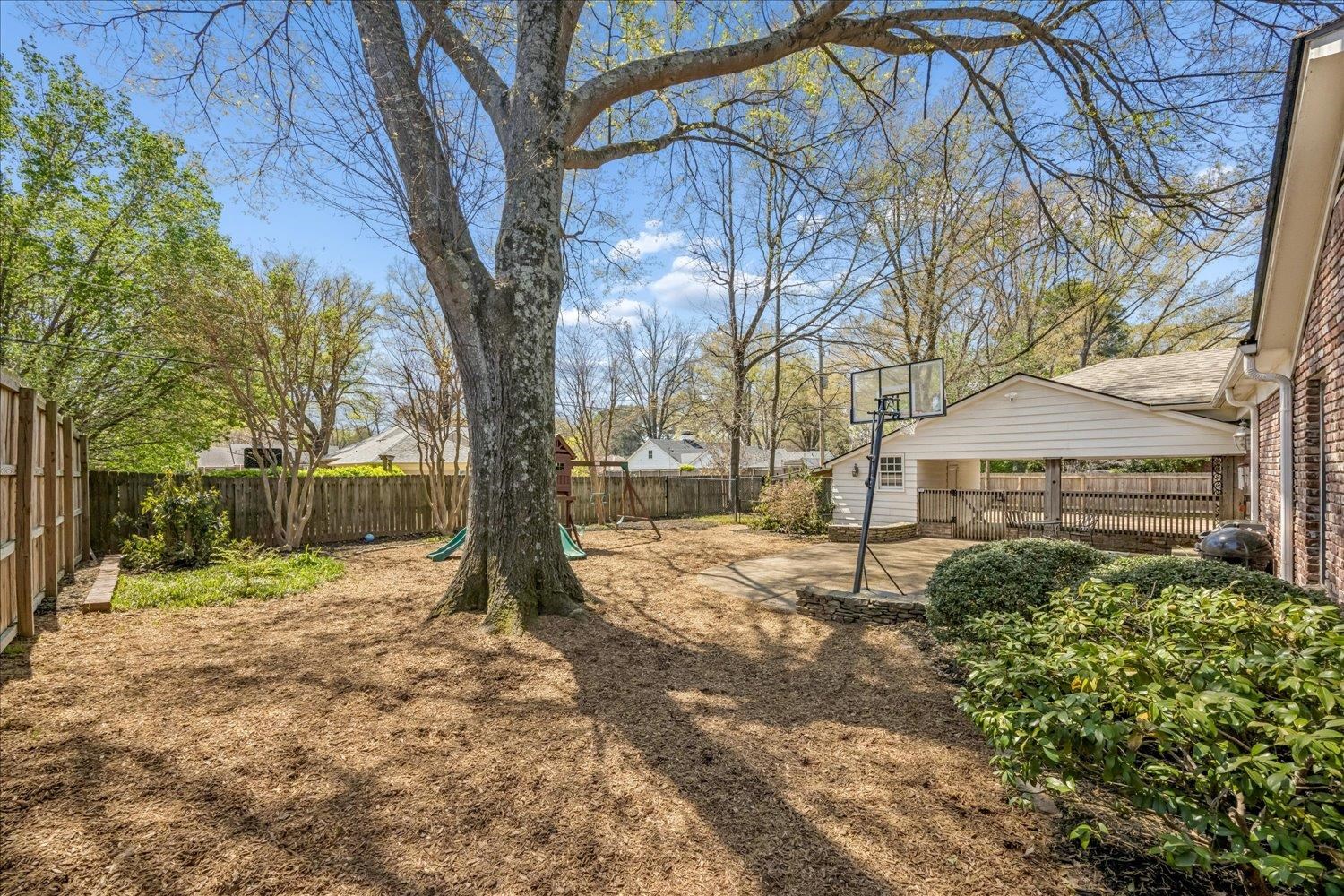 5311 South Angela Road Memphis, TN 38120 - Photo 37 of 40 a view of a yard with plants and a large tree
