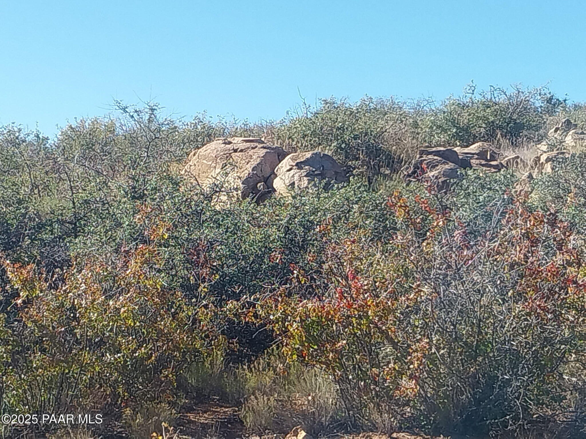2.1 North Unknown Address Dewey, AZ 86327 - Photo 11 of 11 a view of a dry yard