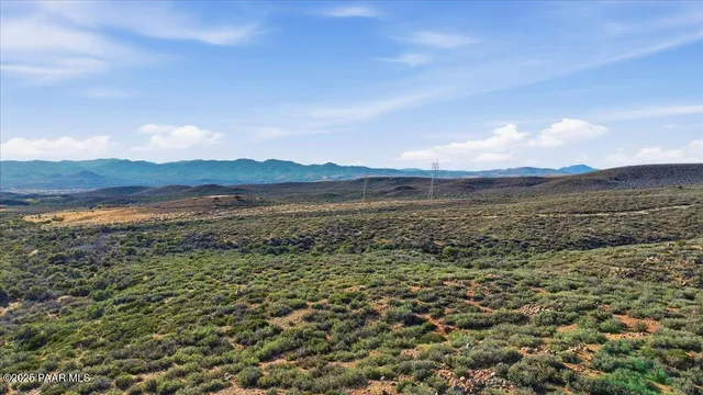 a view of a dry yard