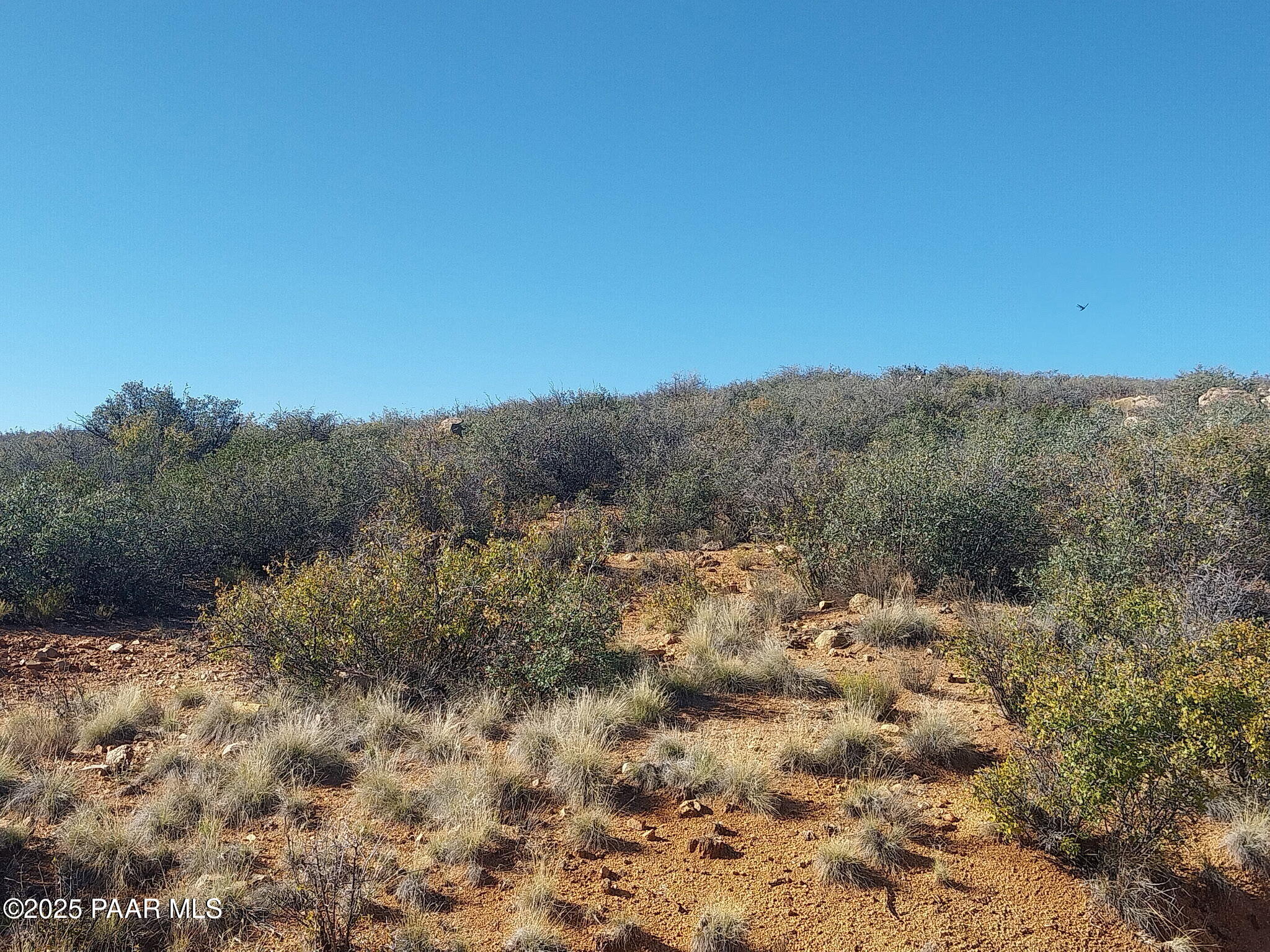 2.1 North Unknown Address Dewey, AZ 86327 - Photo 9 of 11 a view of a dry yard