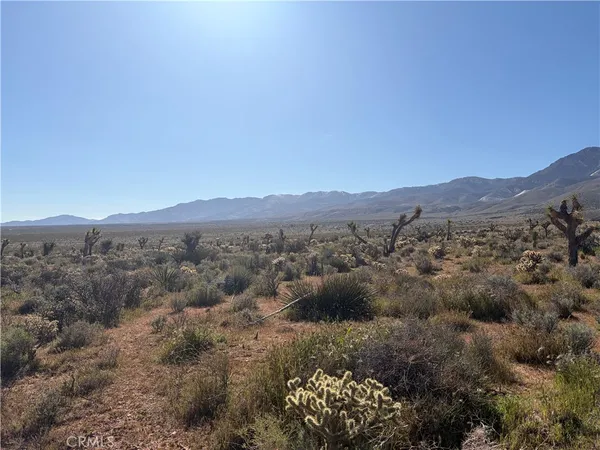 a view of a mountain