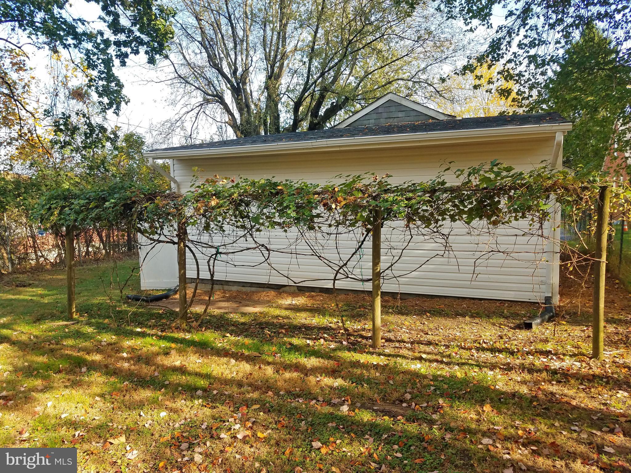 3612 Edgewood Road Randallstown, MD 21133 - Photo 12 of 36 Grape Arbor Behind Garage and Shed