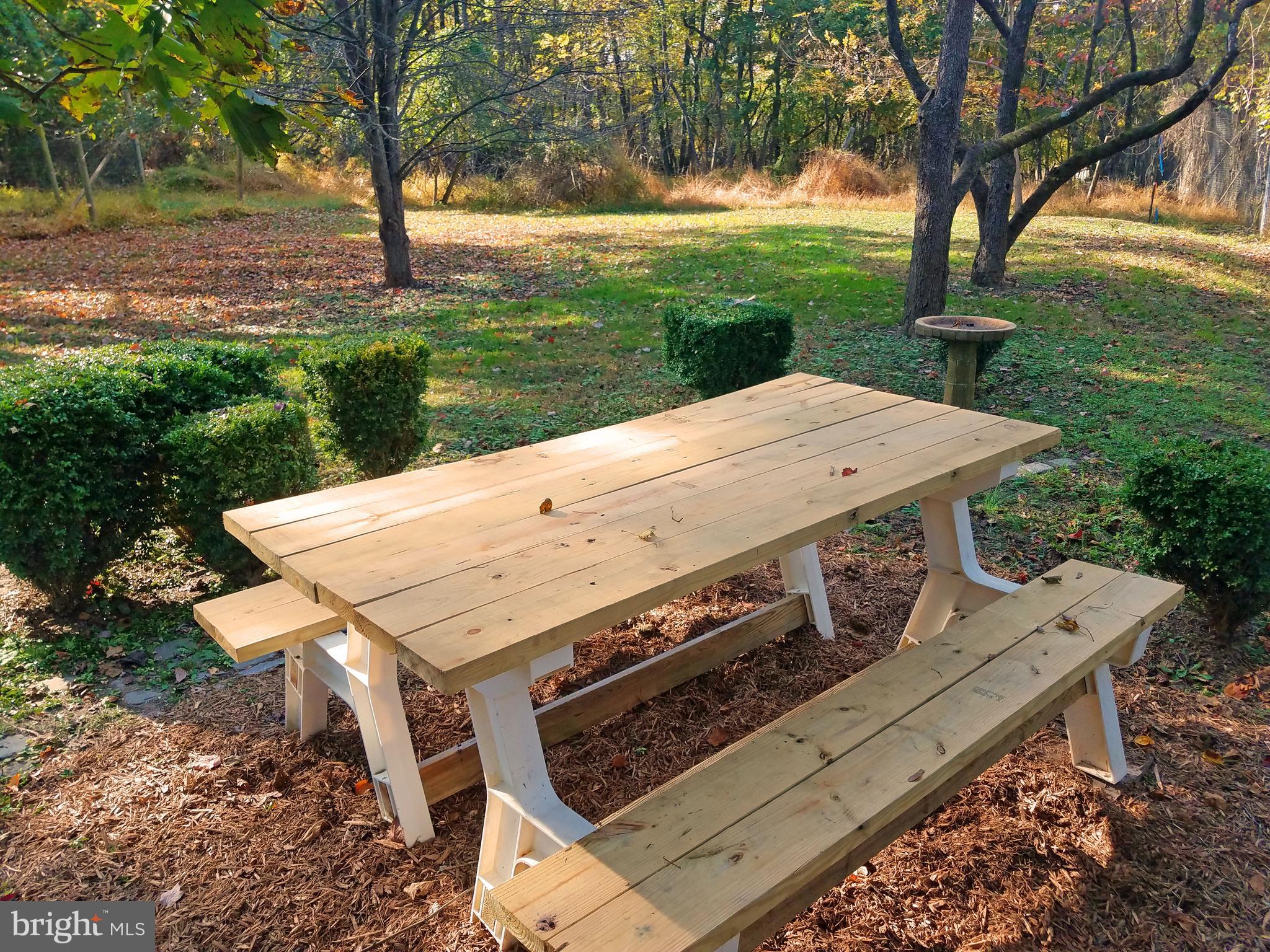 3612 Edgewood Road Randallstown, MD 21133 - Photo 6 of 36 Backyard Picnic Area