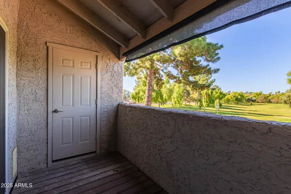 a view of a swimming pool with a yard